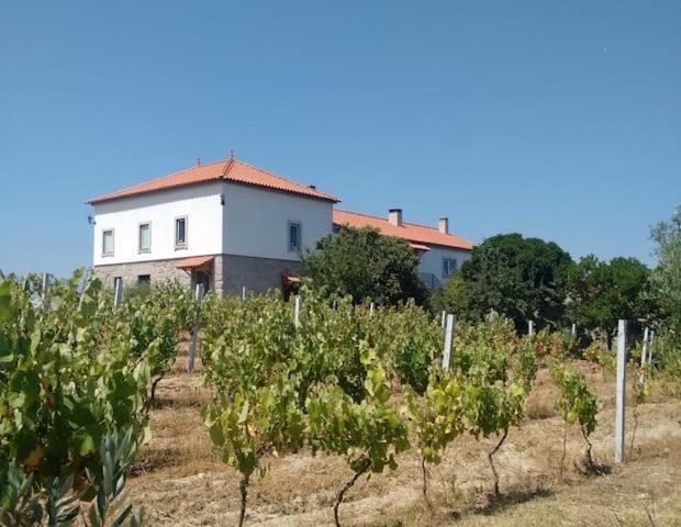 Quinta De Vodra Seia Exterior foto