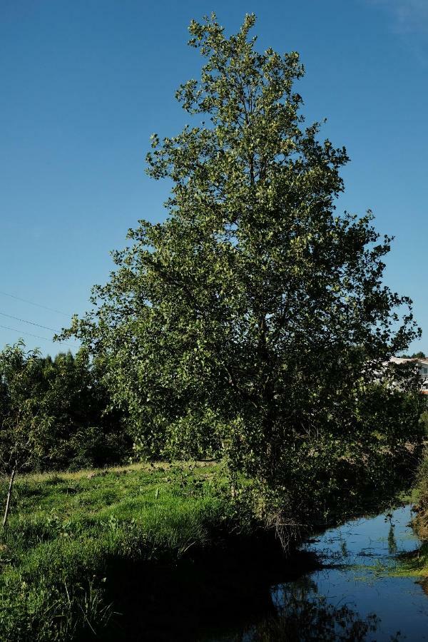 Quinta De Vodra Seia Exterior foto